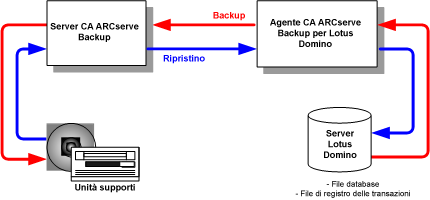 Relazione tra CA ARCserve Backup e Lotus Domino