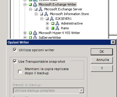 Finestra di dialogo Opzioni writer. Le opzioni Utilizza opzioni writer e Utilizza snapshot trasportabile sono specificate.