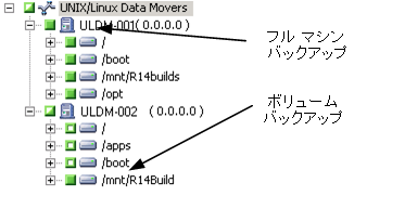 Data Mover サーバのバックアップ。 ソースの指定。