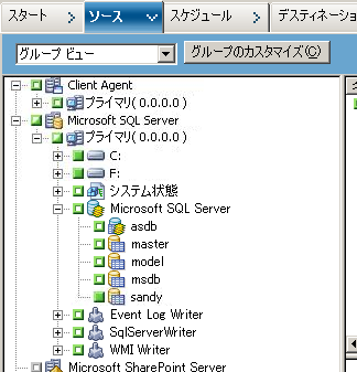 バックアップ マネージャの［ソース］タブ。 CA ARCserve Backup データベースがソースから除外されます。