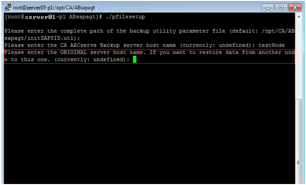 コマンド プロンプトで pfilesetup を実行しています。 バックアップがサブミットされたサーバのホスト名を指定します。