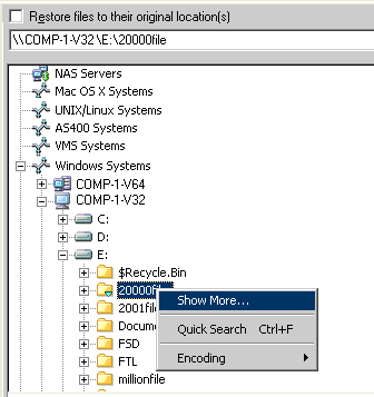 如何通過 ca arcserve backup 瀏覽還原管理器中的大量項目