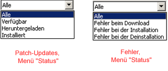 APM - Dropdownliste "Status"