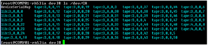 All devices appear as a link file in the /dev/CA directory on data mover servers.
