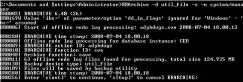 BRArchive command screen
