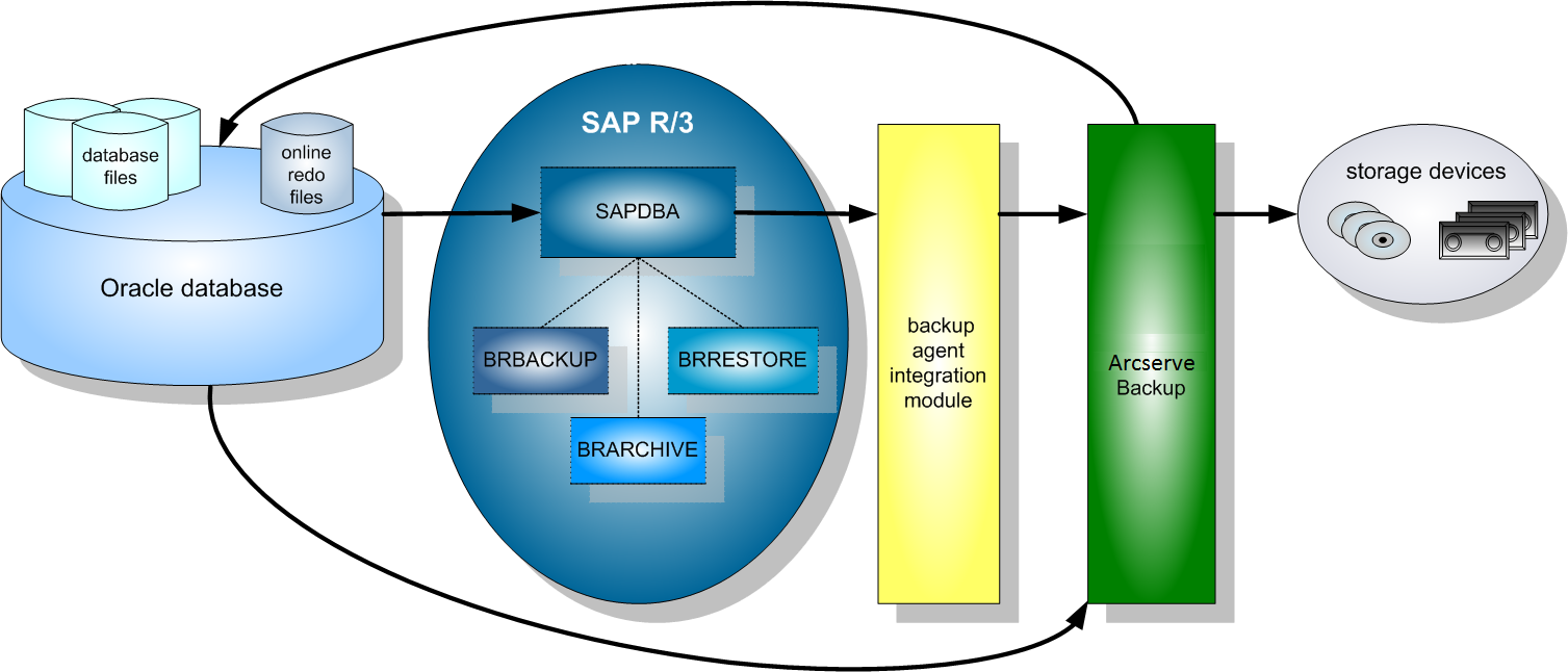 How The Backup Option Integration Module Works