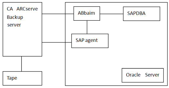SAP Remote Backup