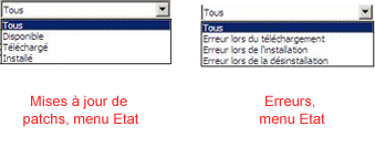 APM - Liste déroulante Etat