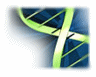 X-マニュアル選択メニュー： DNA green GIF