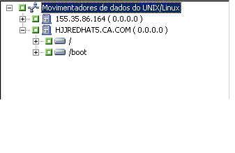 Gerenciador de backup: o objeto de Sistemas UNIX/Linux é expandido para exibir um servidor e seu conteúdo.
