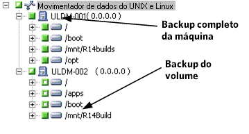 Efetuar backup de servidores de movimentador de dados. Especificar a origem.
