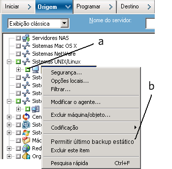 Guia Origem, Exibição clássica. Clique na caixa de seleção ao lado do nome do computador. Em seguida, clique com o botão direito do mouse no nome do computador e clique em Permitir backup estático no menu pop-up.