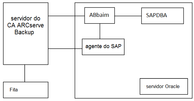 Backup remoto do SAP