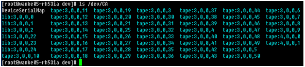 Todos os dispositivos aparecem como um arquivo de link no diretório /dev/CA em servidores do movimentador de dados.