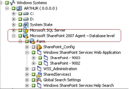 Im Sicherungs-Manager werden SharePoint 2007-Daten angezeigt.