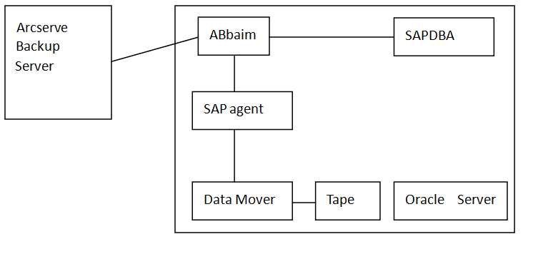 SAP Backup