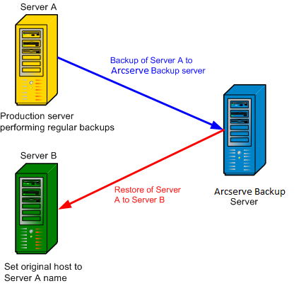 Host Duplication