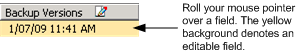 Restore Manager Window with the Recover VM method specified. Roll your mouse pointer over a field. The background changes color to denote an editable field.