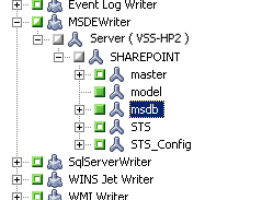 Shows the green markers next to the storage groups as selected.