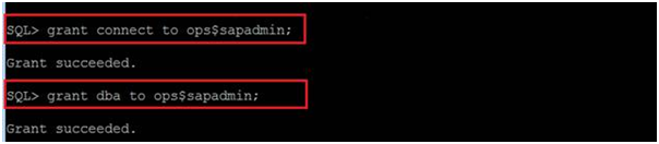 Grant the roles DBA and CONNECT to the account using the SQL*Plus utility.