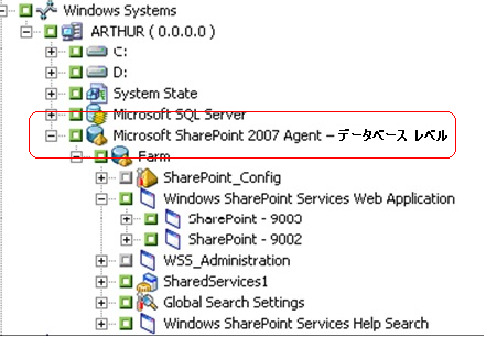 バックアップ マネージャで SharePoint 2007 データを表示