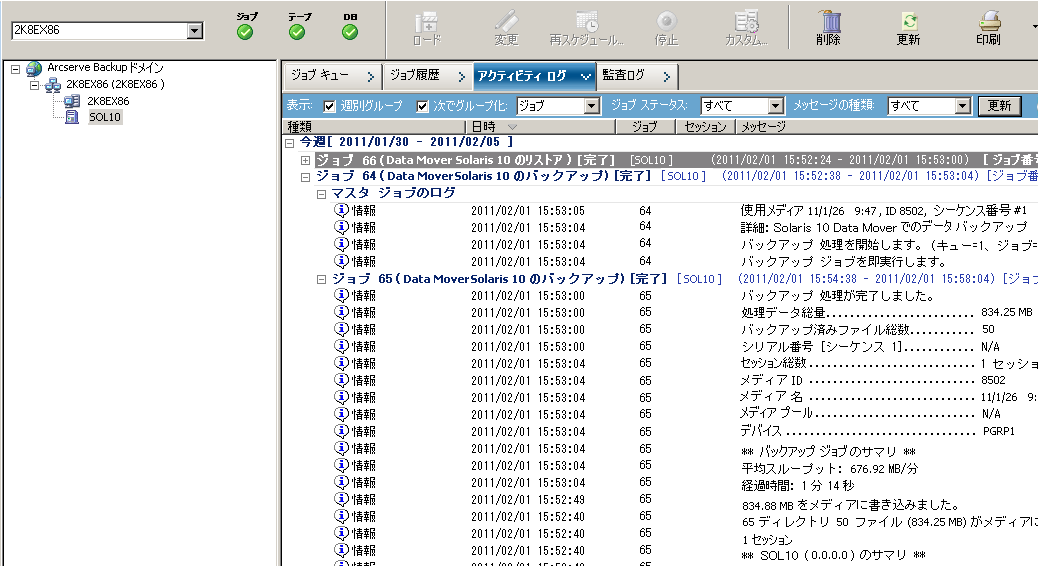 ジョブ ステータス マネージャ：Data Mover サーバが選択され、［アクティビティ ログ］タブにジョブ詳細が含まれています。