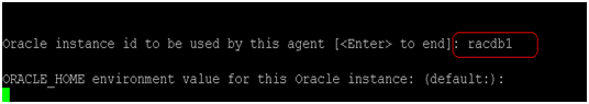 Orasetup command:Specify the name of the Oracle instance.