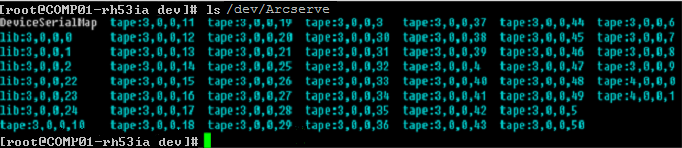 在裝置移動器伺服器上，所有裝置都會在 /dev/CA 目錄中顯示為連結檔案。