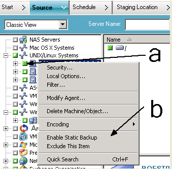Source tab, Classic View. Click the check box next to the computer name. Then right-click the computer name and click Enable Static Backup on the pop-up menu.