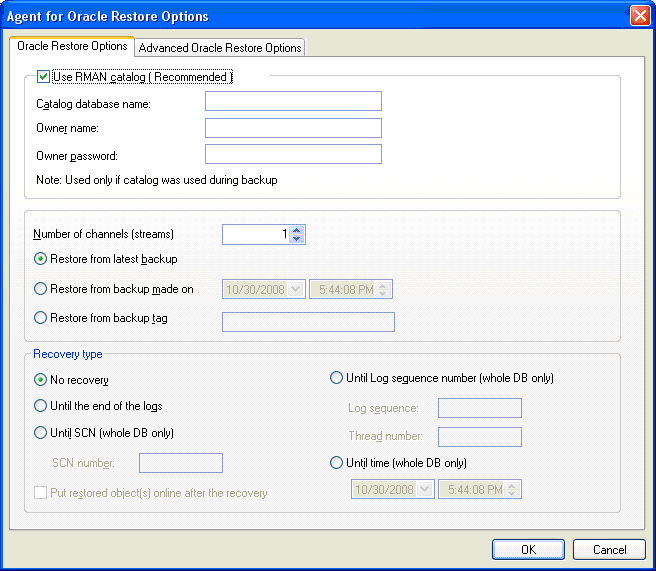 Agent for Oracle Restore Options Dialog