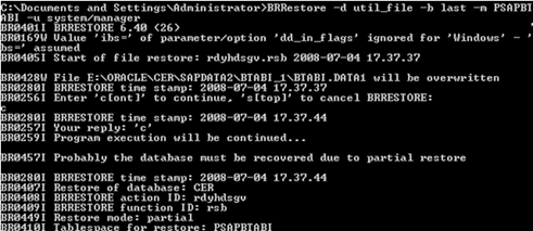 BRRestore Command Screen