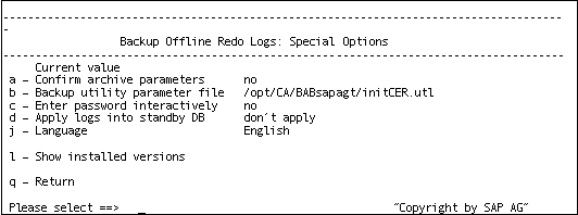 Redo Log Special Options