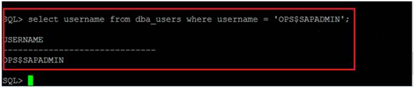 Verify that the Oracle account does not already exist using the SQL*Plus utility.