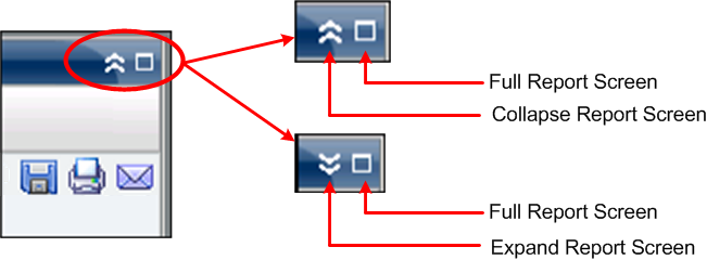 Report Expand-Collapse View