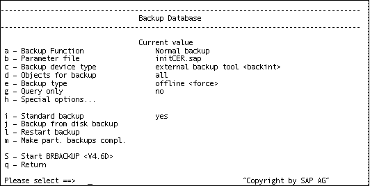 base de datos de copia de seguridad sin conexión