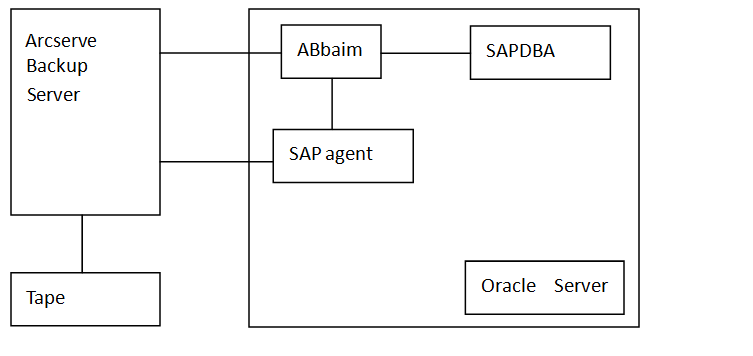 copia de seguridad remota de SAP