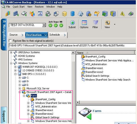Ripristino di dati a livello di database in 2007