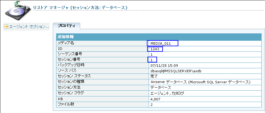 リストア マネージャ - ARCserve データベース プロパティ