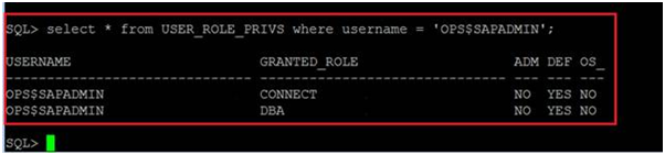 SQL*Plus ユーティリティを使用して、Oracle アカウントに DBA および CONNECT の役割が含まれていることを確認します。