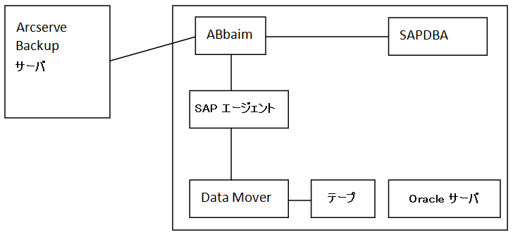 SAP Backup