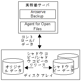 サポートされる Client for VSS Software Snap-Shot のローカル設定。