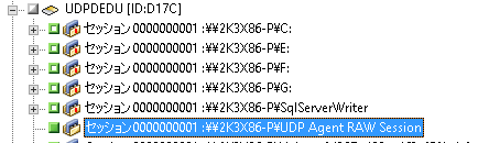 D2D/UDP セッション