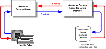 Relation between CA ARCserve Backup and Lotus Domino