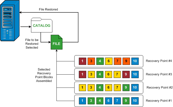 caaf--File Level Restore-W