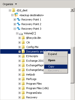 Restore D2D View - Restore File/Folder