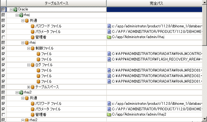 Oracle HA および DR シナリオの作成