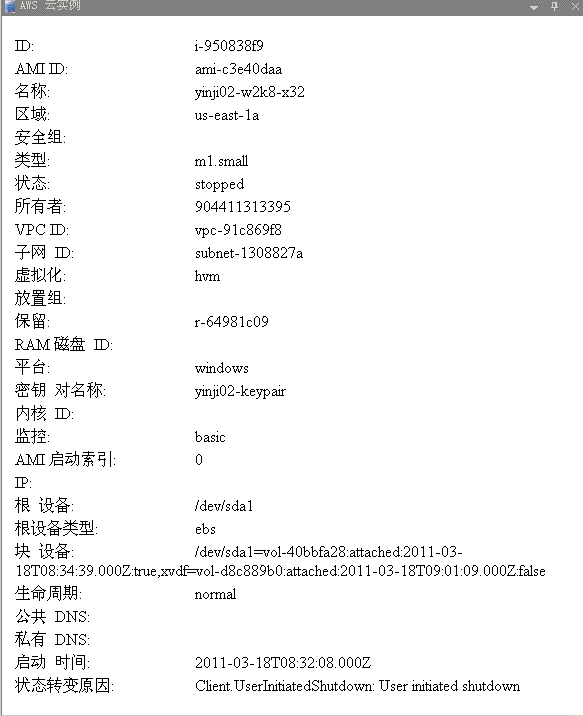 AWS 云实例选项卡示例