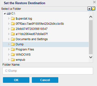 Define the Restore Options