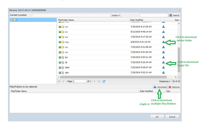 How to Download File/Folders without Restore for Linux Nodes