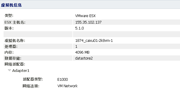 备用 VM 信息